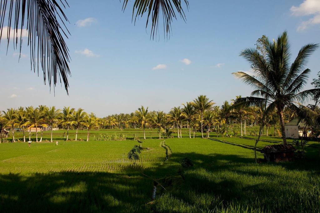Puri Bebengan Bungalows Ubud  Exterior photo